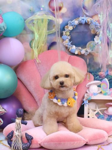 20240818むぎちゃん